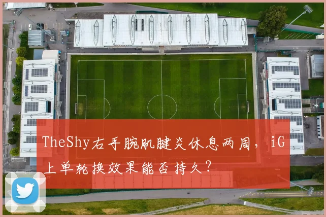 TheShy右手腕肌腱炎休息两周，iG上单轮换效果能否持久？